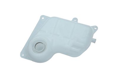 VAS DE EXPANSIUNE RACIRE