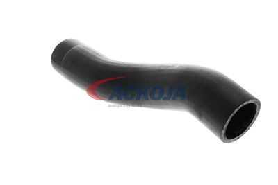 FURTUN EAR SUPRAALIMENTARE ACKOJA A529600 17