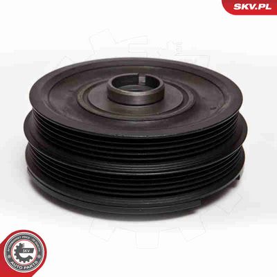 FULIE CUREA ARBORE COTIT ESEN SKV 95SKV303 1