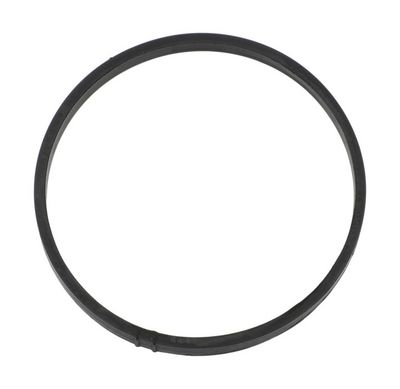 DICHTUNG ANSAUGKRüMMERGEHäUSE PAYEN JD6230