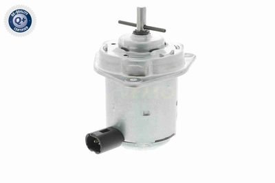 MOTOR ELECTRIC VENTILATOR VEMO V46011315 3