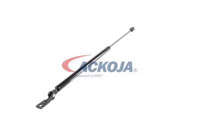 AMORTIZOR PORTBAGAJ ACKOJA A520066 51