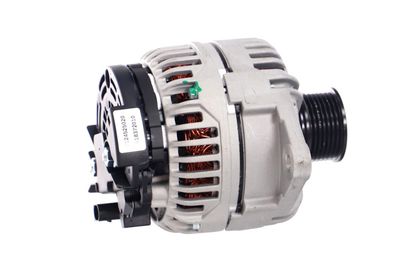 GENERATOR / ALTERNATOR REMANTE 011003000046R 39