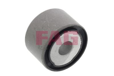Schaeffler FAG Lagerung, Achskörper
