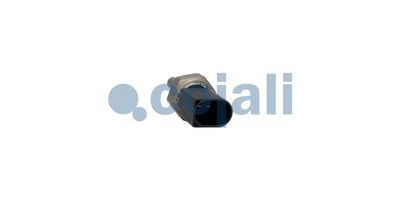 Senzor, temperatura rashladne tečnosti COJALI 2260942