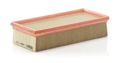 Air Filter C 2584