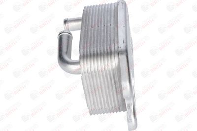 RADIATOR ULEI ULEI MOTOR BIRTH 80289 4