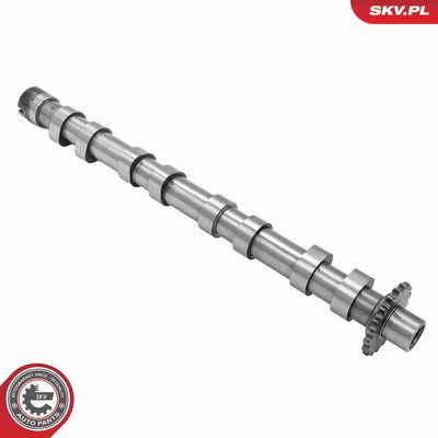 AX CU CAME ESEN SKV 80SKV017 1