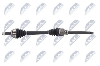 PLANETARA NTY NPWCT107 23