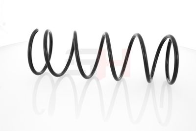 ARC SPIRAL GH GH223206 31