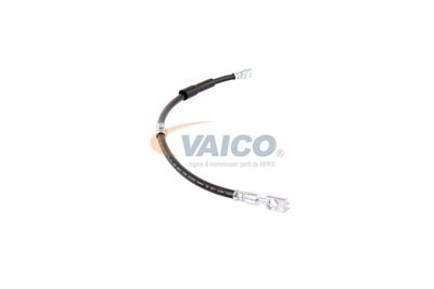 FURTUN FRANA VAICO V104138 42