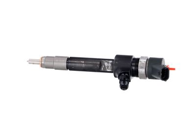 INJECTOR REMANTE 002003001695R 13