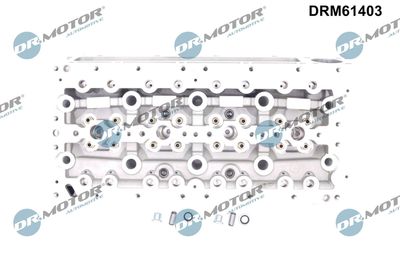 CHIULASA Dr.Motor Automotive DRM61403 1