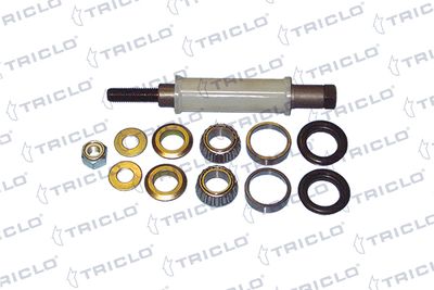 носач, окачване на колелата TRICLO 784179