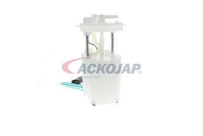 SISTEM ALIMENTARE CU COMBUSTIBIL ACKOJA A52090027 40
