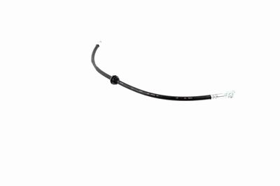 FURTUN FRANA VAICO V201909 6