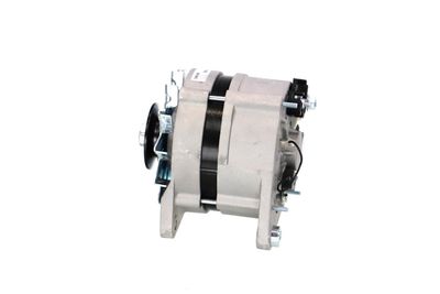 GENERATOR / ALTERNATOR REMANTE 011003000454R 19