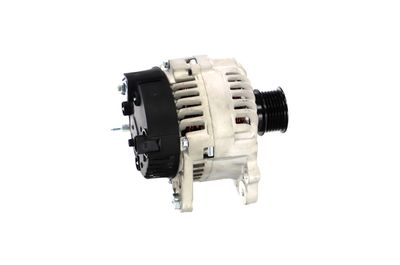 GENERATOR / ALTERNATOR REMANTE 011003000339R 41