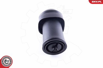 Air Spring, suspension 58SKV028