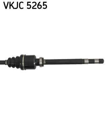 PLANETARA SKF VKJC5265 2