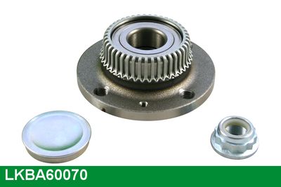 SET RULMENT ROATA LUCAS LKBA60070