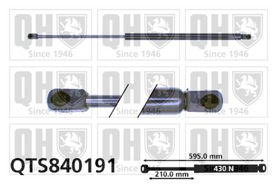 QUINTON HAZELL QTS840191 Амортизатор багажника и капота  для BMW 3 (Бмв 3)