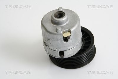 TRISCAN 8641 163013 Натяжитель ремня генератора для FORD FIESTA