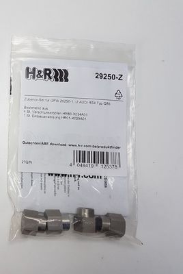 H&R Spezialfedern 29250-Z