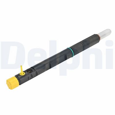 Reconditioned Delphi Fuel Injector R05001D For Jcb Loader Shovel EJBR05001D