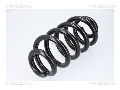ARC SPIRAL TRISCAN 875029580 1