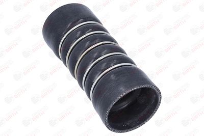 FURTUN EAR SUPRAALIMENTARE BIRTH 55858 9