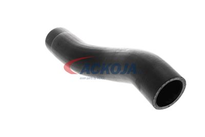 FURTUN EAR SUPRAALIMENTARE ACKOJA A529600 18