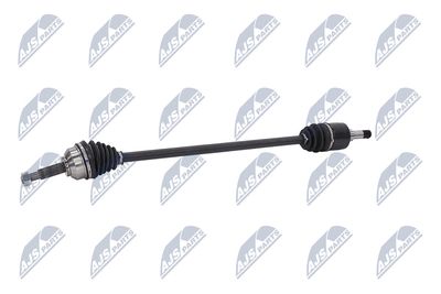 PLANETARA NTY NPWCH106 22