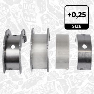 SET RULEMT ARBORE COTIT ET ENGINETEAM LH003825 2