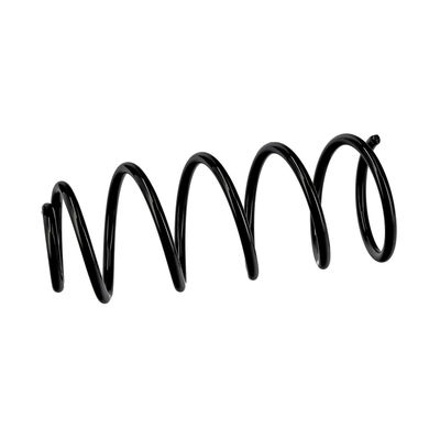 ARC SPIRAL EIBACH R10454 18