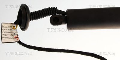 Plynárenská vzpera (pneumatická pružina), zavazadlový priestor TRISCAN 8710 23319