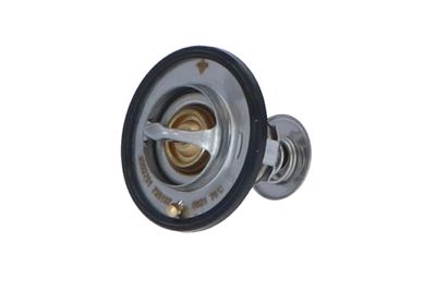 TERMOSTAT LICHID RACIRE NRF 725107 12