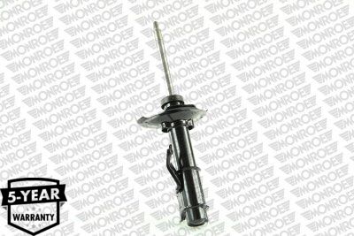 Shock Absorber G16613