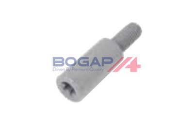 BOLT PATINA LANT DISTRIBUTIE BOGAP B1326102