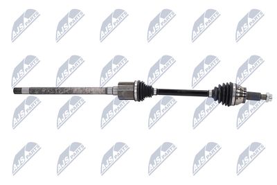 PLANETARA NTY NPWLR031 7