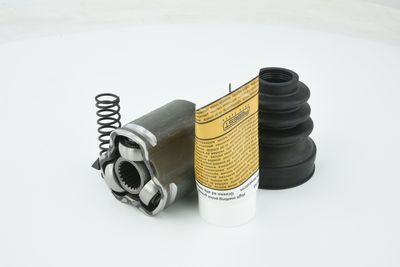 SET ARTICULATIE PLANETARA FEBEST 2411KANIILH 20