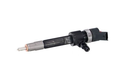 INJECTOR REMANTE 002003001695R 7