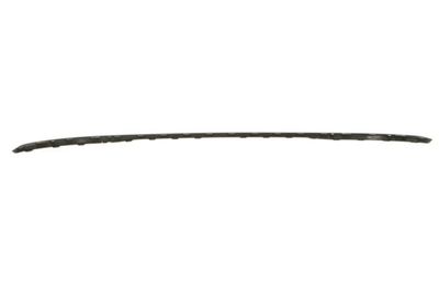 Pynte-/beskyttelsesliste, kofanger BLIC 5703-11-0030970P
