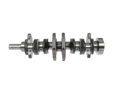 ARBORE COTIT ET ENGINETEAM HK0130 17