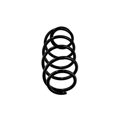 ARC SPIRAL EIBACH R10067 13