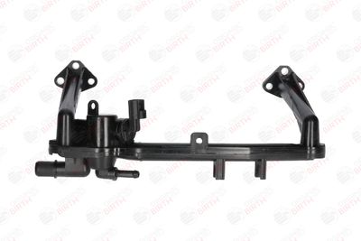 FLANSA LICHID RACIRE BIRTH 81126 1