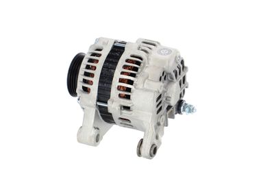 GENERATOR / ALTERNATOR REMANTE 011003000538R 17