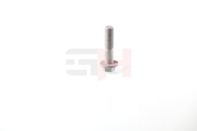 SURUB CAPAT DE AX GH GH393055 47