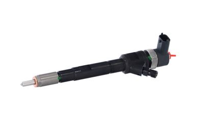 INJECTOR REMANTE 002003001196R 7