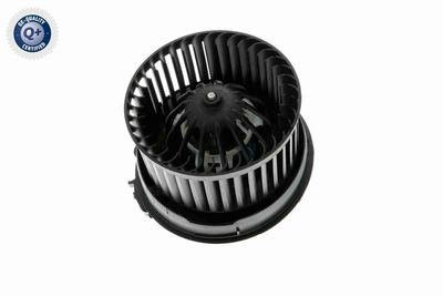 ANSAUGGEBLäSE INNENRAUMLUFT VEMO V22031834 3